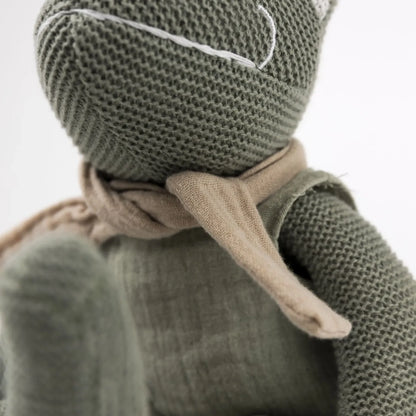 Jeremy de kikker - Katoenen knuffel met rammelaar - Egmont Toys