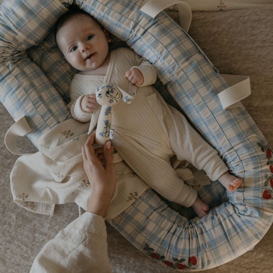 Baby Nest - Plaid Sky Blue - Babylft - Biologisch katoen - Geruit/Aardbeitjes - Garbo & Friends