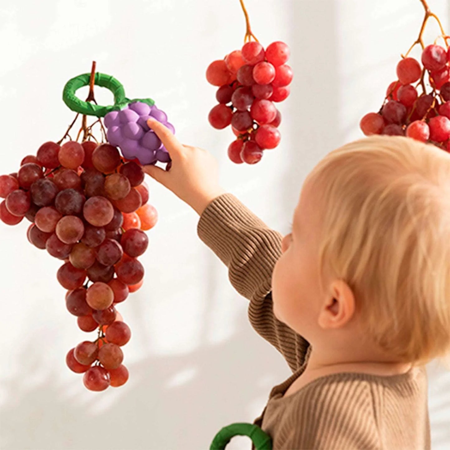 Druif rammelaar & bijtring - Natuurrubber - Grape Rattle Toy - Oli&Carol