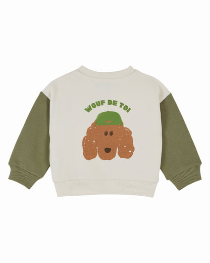 Sweater met hondenprint – Ecru Pistache – Biologisch katoen - Sweatshirt Bicolore - Emile et Ida
