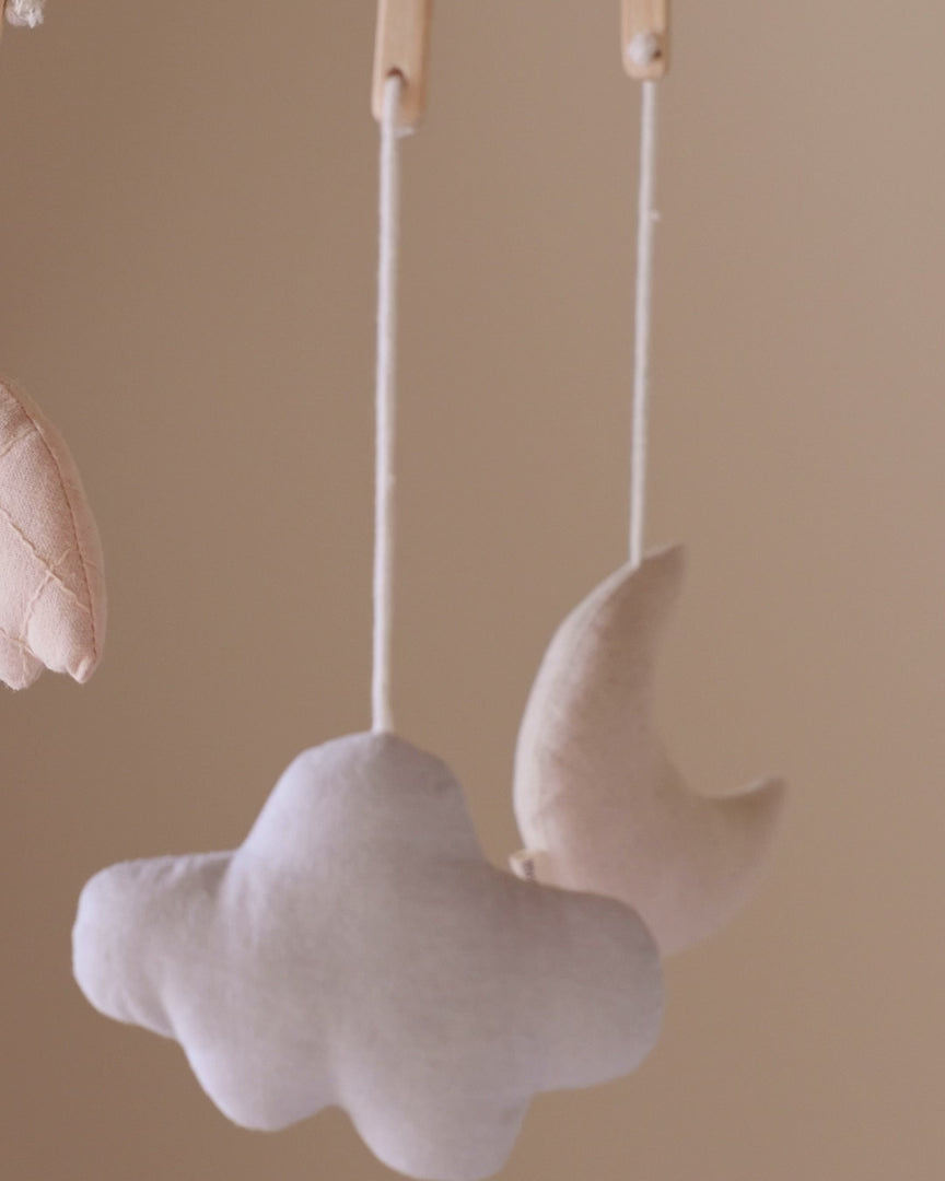 Baby-Betthimmel - Bio-Baumwolle - Beige - Moonboon